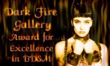 Dark Fire Gallery Award For Excellence: no link available